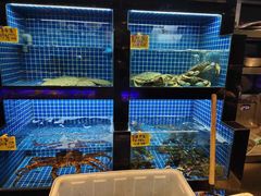 水产区-徽三说·土徽菜·中国徽菜连锁品牌(一中店)