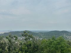 -海宁市观音寺