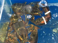 -鼓歌海鲜舫·手抓海鲜(大学城店)