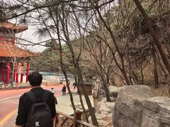 -大芦花风景区