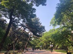-二一九公园