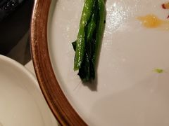 -裕.鹅庄