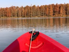 -上海海湾国家森林公园