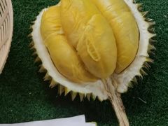 -都念榴莲·城市榴莲