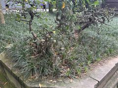 -成都杜甫草堂博物馆