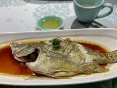 -十八棵（老龙井）御茶园(老龙井店)