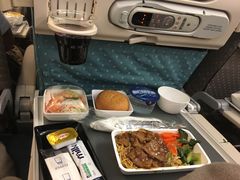 -新加坡航空公司(ION)