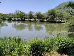 -八卦田遗址公园