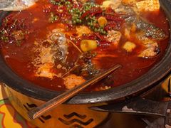 -探鱼·鲜青椒爽麻烤鱼(正佳广场店)
