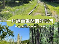 -将府公园