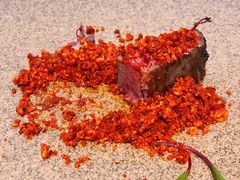 香酥低温和牛腩-鱼桥巷·美学川菜