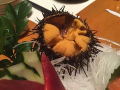 -将军日本餐厅·Shogun 传统日料·铁板烧·板前料理(厦门马哥孛罗东方大酒店)