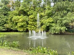 -上海共青森林公园