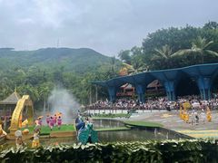 -西双版纳原始森林公园