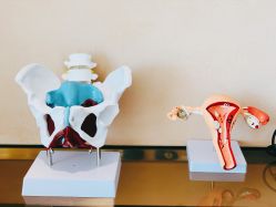 -baby bella小贝拉母婴护理中心(北京东隅店)