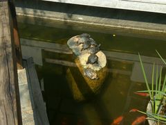 -阳春市花园酒店