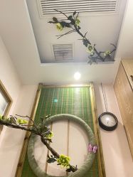 -芳朵美容养生SPA