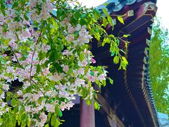 -元大都城垣遗址公园