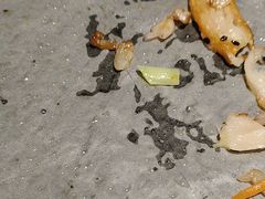 -冰川朝鲜族料理·东北菜(观前店)