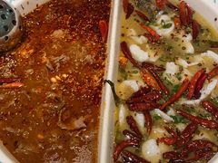 -姚姚酸菜鱼·金戈戈香港豉油鸡(喜荟城联名店)