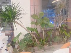 -MEGA BASE 健身馆(南山店)