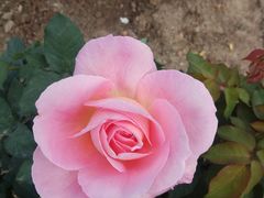 -人民公园(罗湖区)