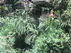 -大妙火锅·非物质文化遗产(东湖公园店)