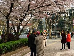 -上海南浦大桥长途旅游客运站