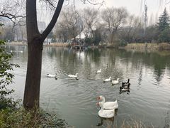 -城市运动公园(未央区)