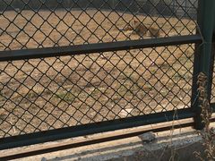 -宿豫区运河湾森林动物园