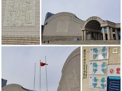 -青岛市博物馆