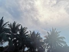 -三亚海棠湾万丽度假酒店