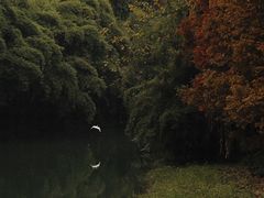 -升仙湖公园