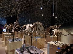 -世界恐龙谷景区