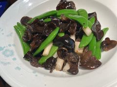 -羲和雅苑•北京烤鸭(乐园道万象城店)