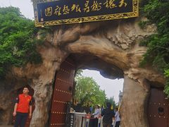 -大槐树寻根祭祖园