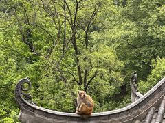 -大七孔景区-天生桥