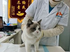 -美美宠物诊疗中心·异宠·骨科(滨江东信分院)