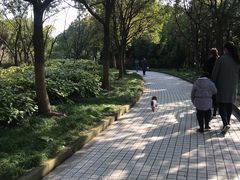-颐景园