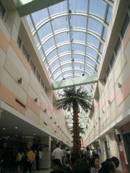 -复旦大学附属妇产科医院(杨浦院区)