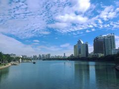 -白鹭洲公园