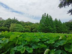 -沐仙湖湿地公园