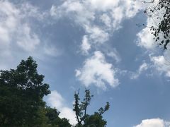 -广州市流溪河国家森林公园
