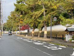 -醍醐寺