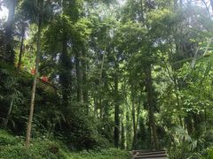 -青城山