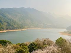 -广州市流溪河国家森林公园