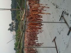 android_upload_pic-大王岭农庄