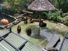 -深圳野生动物园