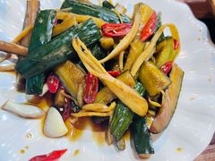 -宝山一号馕坑肉