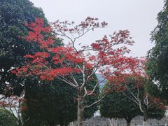 -楚望台遗址公园